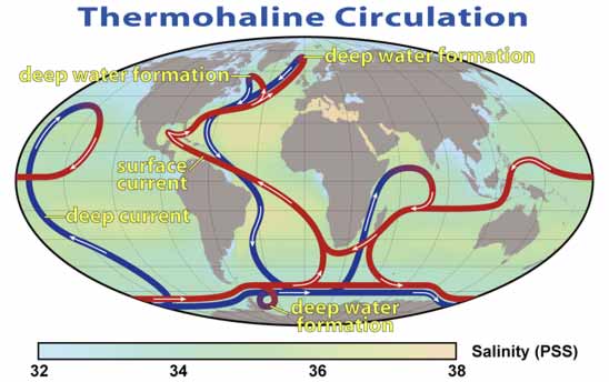 Termohalinska cirkulacija ponekad se naziva oceanska pokretna traka, velika oceanska pokretna traka  ili globalna pokretna traka.
